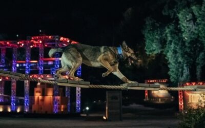 Uintah County Sheriff’s K9 Team on Upcoming Episode of ‘America’s Top Dog’
