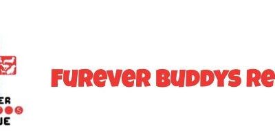 Furever Buddy's Dog Rescue Hoping For Help to Keep Location