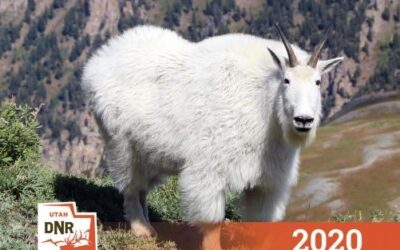 Application Period for Big Game Hunt Opens Soon