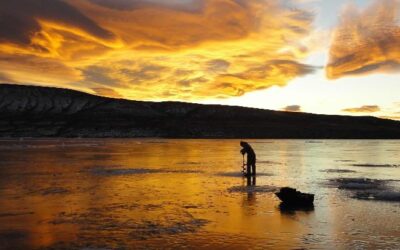 Flaming Gorge Update Ahead of This Weekend’s Burbot Bash