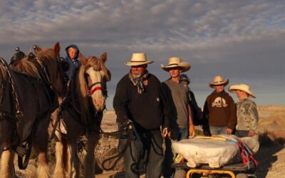Rare Brachiosaurus Humerus Bone On Display at Utah Field House Museum in Vernal