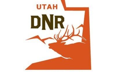 DWR to Public: Do NOT Feed Deer or Other Wildlife