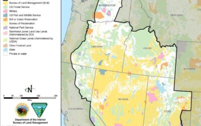 Public Review Period Open on Great Basin Fuel Breaks Final Programmatic EIS