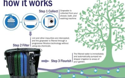 Give’m Health: New Rule in the Works to Make it Easier to Use Graywater Systems
