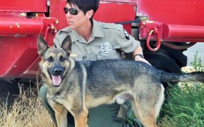 Sheriff K9 Riddick Awarded Multi-Threat Vest and Ranger K9 Trauma Kit