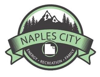 Naples City Makes Emergency Declaration; Offices Open by Appointment Only