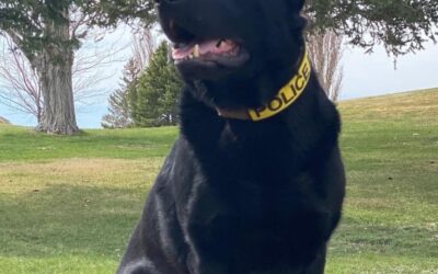 Rangely Police Department K9 ‘Eiko’ to Get Body Armor