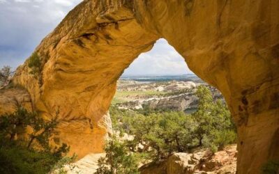 Spike in Vandalism and Graffiti at Moonshine Arch
