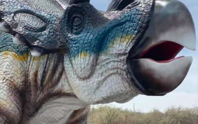 “Lanny”, Naples New Dino Statue, Enjoying Week Out On The Town