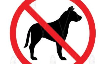 Littering an Issue at Old Fort Ponds in Uintah County