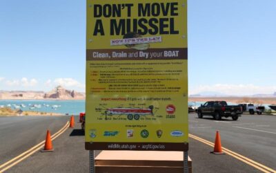 New Quagga Mussel Law Approved by Wildlife Board