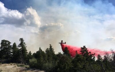 Abbot Fire Burning in Indian Canyon