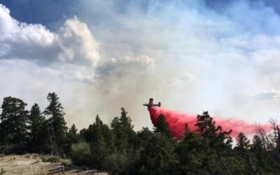 Update on Abbot Fire Burning in Indian Canyon