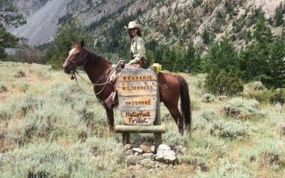 Ashley National Forest Welcomes New Forest Supervisor