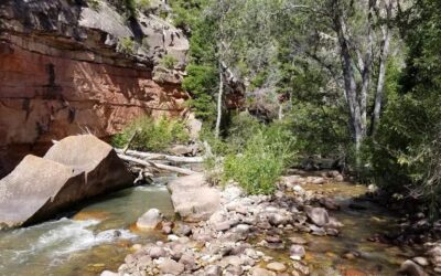 BLM Approves Conveyance of Ashley Springs to Uintah County