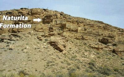 Dinosaur National Monument Renames Sandstone in Monument