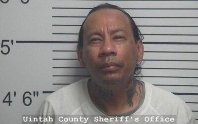 K-9 Deployment Ends Prolonged Chase of Man Who Violated Protection Order