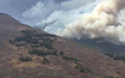 Crews Making Progress on East Fork Fire in Duchesne County