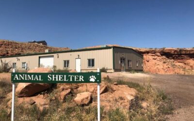 Roosevelt City Mayor on Roosevelt Animal Shelter Investigation