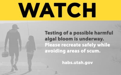 Steinaker State Park Testing For Harmful Algal Bloom