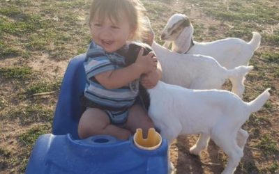 Wave of Light Event for Local Families That Have Lost a Child