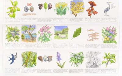 Failed Green River Canoe Trip Turns Into Art Exhibit