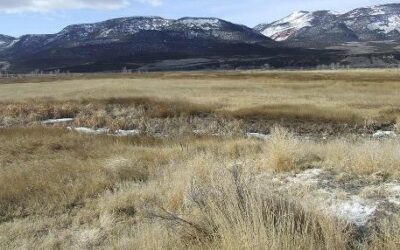 Portion of Browns Park Closed for Duration of Swan Project