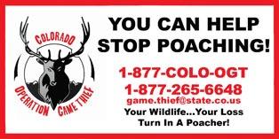 Information Being Sought in Moffat County Poaching Incident