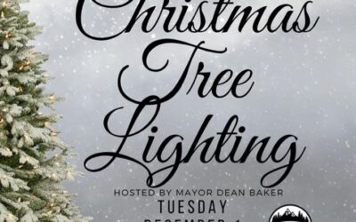 Watch the Annual Tradition of the Naples Christmas Tree Lighting Tonight