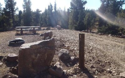 Ashley National Forest Paradise Campground 2020 Restoration