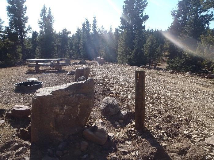 Ashley National Forest Paradise Campground 2020 Restoration Basin Now