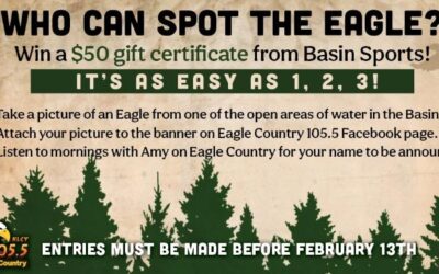 ‘Who Can Spot The Eagle?’ Part of Eagle Viewing Month