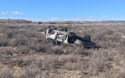 Driver and His Dog Each Sustain Fatal Injuries in Uintah County Car Accident