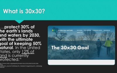 Vernal Chamber Luncheon