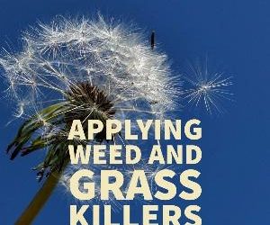 Let's talk for a minute about applying weed and grass killers. . .