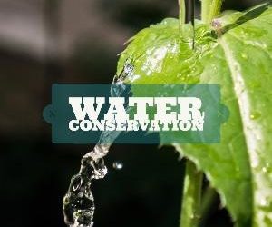 Let's talk for a minute about water conservation. . .