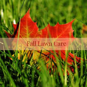 Scoot Wilkins Decorative Image