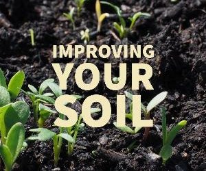 Let's talk for a minute about improving your soil. . .