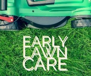 Let's talk for a minute about early lawn care. . .
