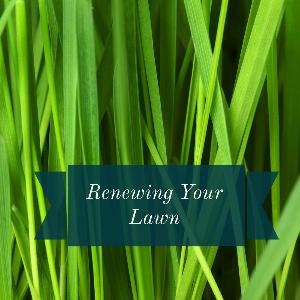 Scoot Wilkins Decorative Image