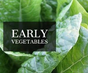 Let's talk for a minute about early vegetables. . .