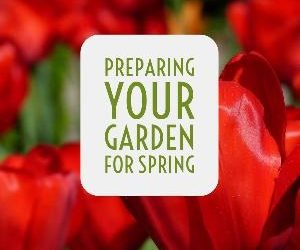 Let's talk for a minute about preparing your garden spot for spring planting. . .