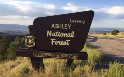 Ashley National Forest Asks People to Be Patient Getting Into the Forest