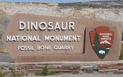 Recent Bat Exposure At Dinosaur National Monument Prompts Message