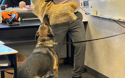 Lapoint 5th Grade Class Enjoys Presentation From Deputies And K-9 Riddick