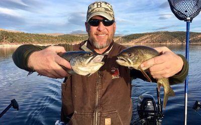 Wildlife Officials Undergo Massive Trout Tagging Event With Payout For Anglers