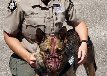 Lapoint 5th Grade Class Enjoys Presentation From Deputies And K-9 Riddick