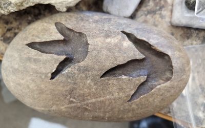 Owners Of Recovered Stolen Property Sought