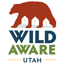 Wild Aware Utah Offers Tips To Avoid Deer Collisions In The Daylight