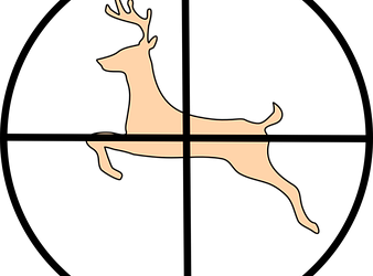 Hunting On Roosevelt City Property Discussed By Leadership